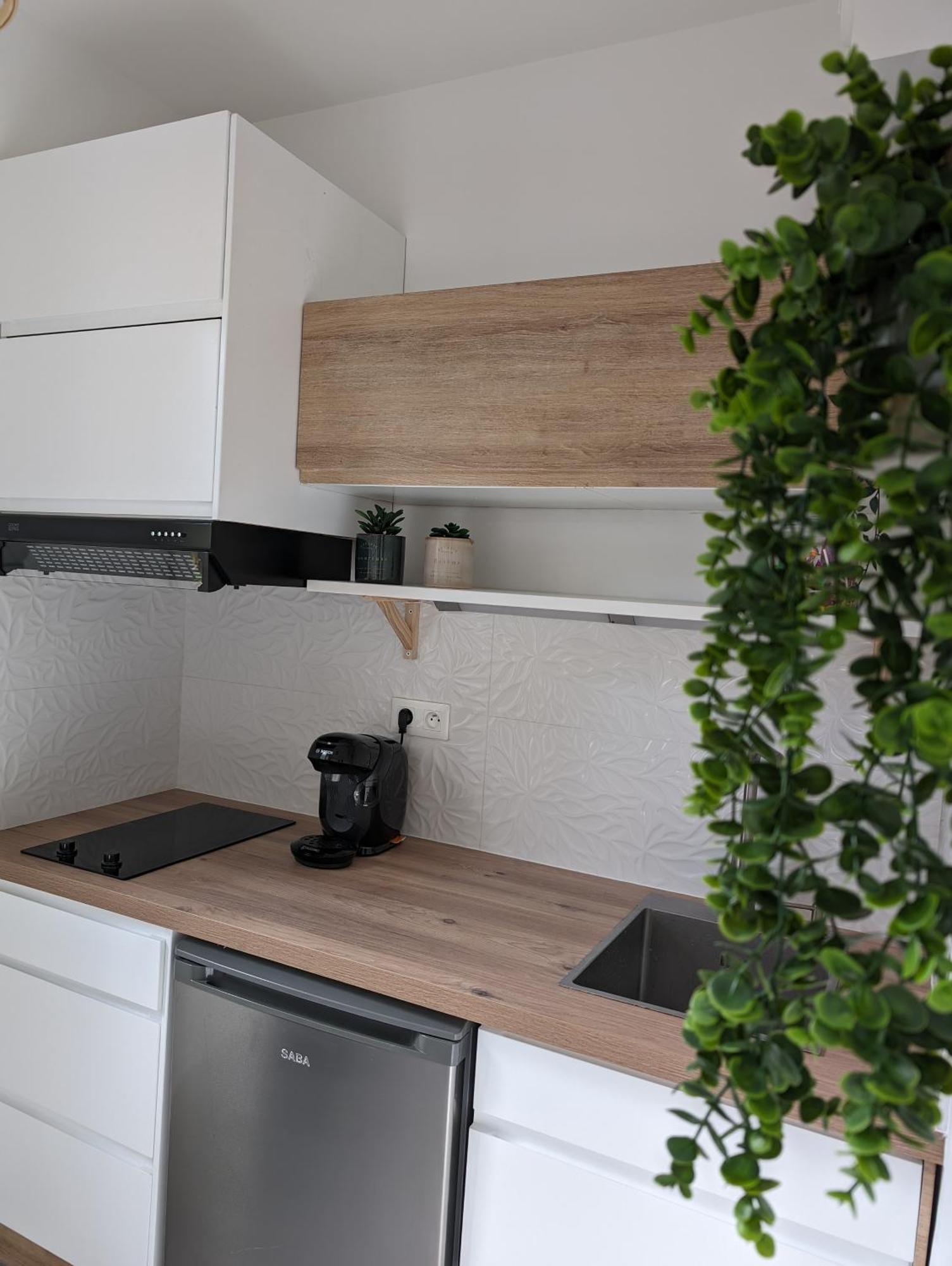 Appartement Cosy Au Calme A Cote Du Zoo Avec Balcon Et Parking Securise Montpellier Exteriör bild